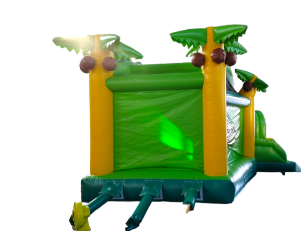 KROKODIL (2) Napuhanac krokodil za djecu u dvorištu